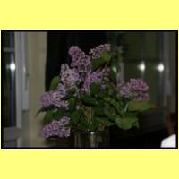 IMG_3099_s.jpg