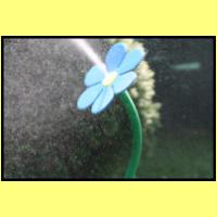IMG_3145_s.jpg