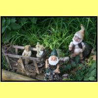 IMG_3182_s.jpg