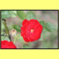 IMG_3190_s.jpg