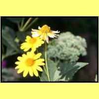 IMG_3212_s.jpg