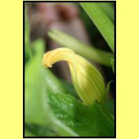 IMG_3244_s.jpg