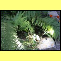 IMG_3279_s.jpg