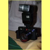 DSC_1247.JPG